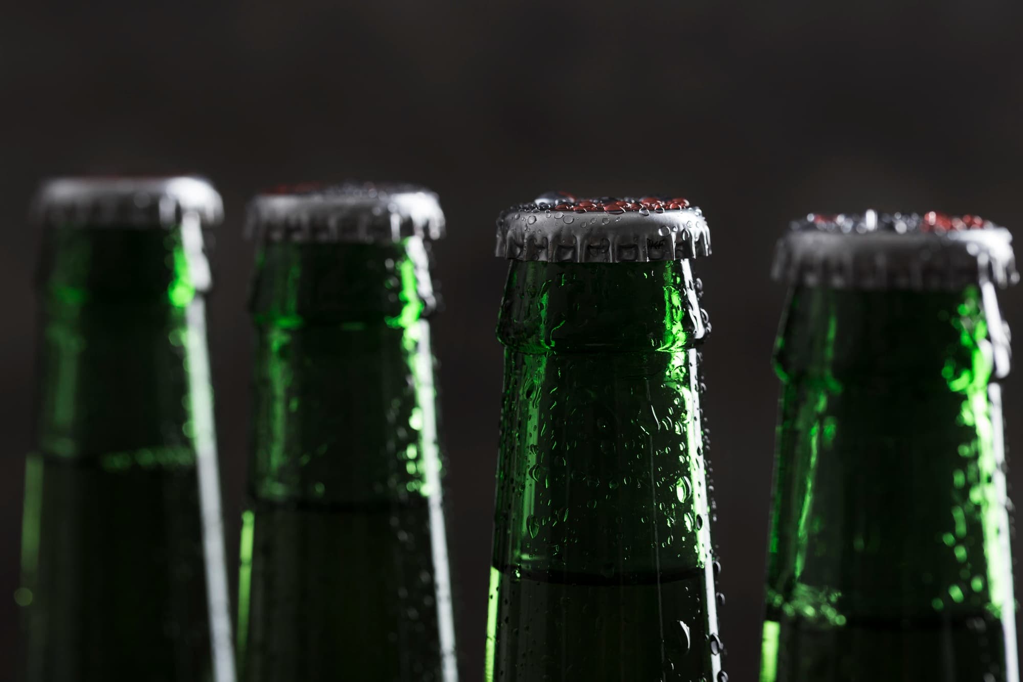 birreBott-banner